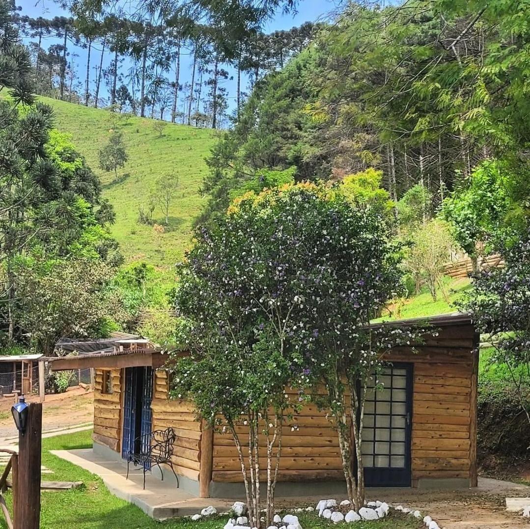 Pousada A Casa Da Fazenda Санту-Антониу-ду-Пиньял Экстерьер фото